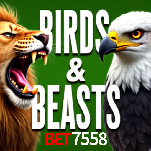 Sinta a adrenalina dos jogos de cassino com bet7558